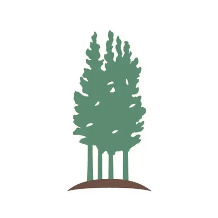 Pine Grove Friends Читы