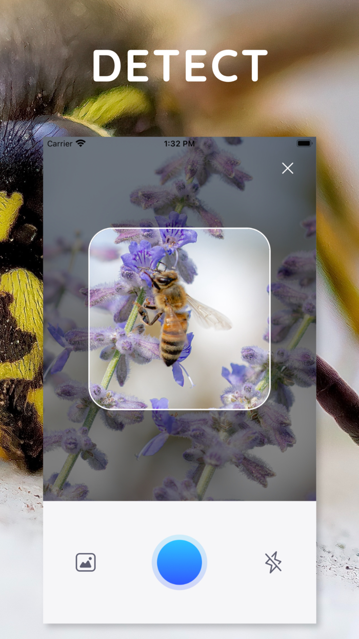 AI Photo App - Bug Identifier