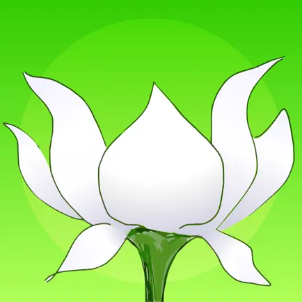 Lotus Bud Mindfulness Bell Cheats