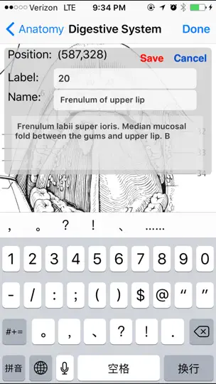 Capture d'écran de Anatomy Atlas sur iPhone 4