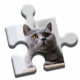 British Shorthair Puzzle