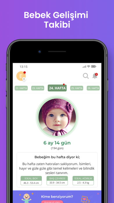 Ultimate Pregnancy Companion Screenshot