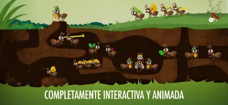 Los Bichos I: ¿Insectos?
