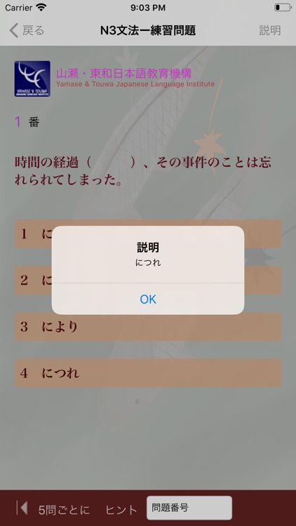 JLPT N3 文法のまとめ screenshot-6