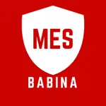 MES Babina App Positive Reviews