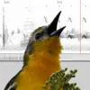 Bird Vocs Learn Bird Sounds delete, cancel