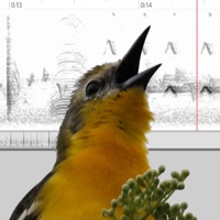 Bird Vocs Learn Bird Sounds logo