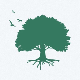 Nikolife. Правильные рецепты