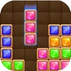 Block Puzzle Plus-puzzle brain icon