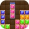 Icon Block Puzzle Plus-puzzle brain