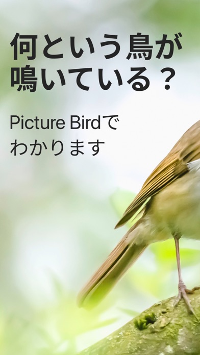 Picture Bird - 撮ったら、判る--1秒鳥図鑑スクリーンショット