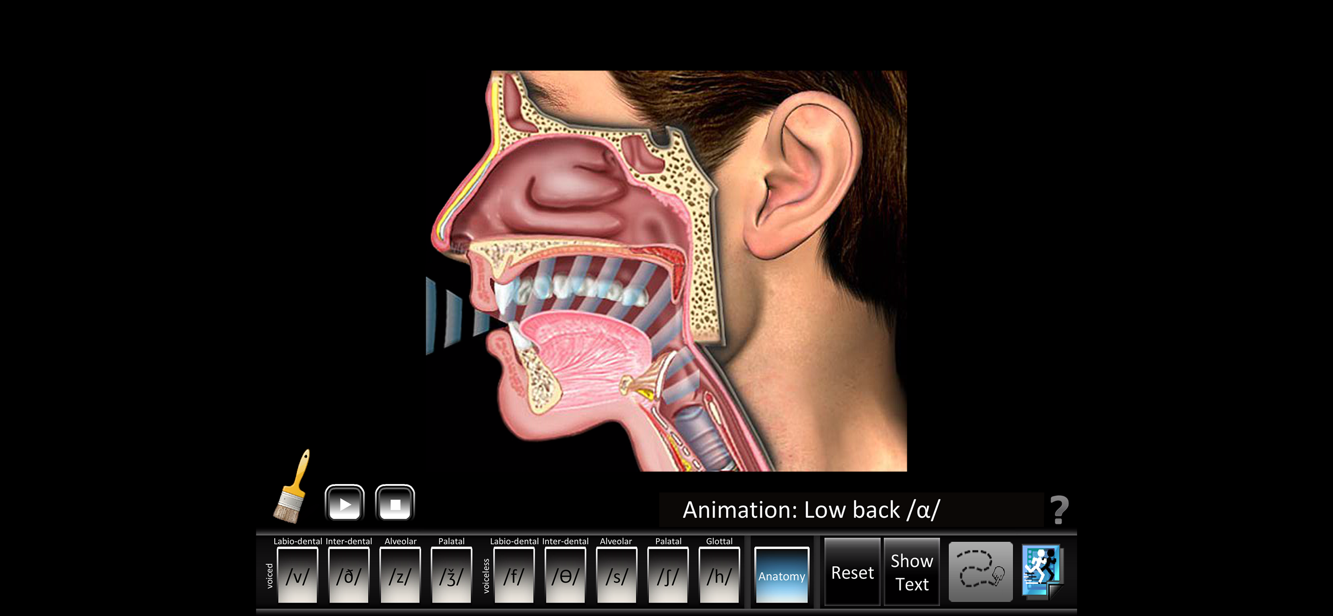Fricatives screenshot 4