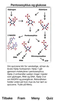 Pentosesyklus iphone bilder 0