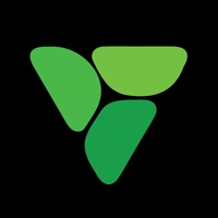 MV Fitness - Boot Camp and PT