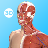 Acupuncture Master - Xi'an Vesalius Digital Technology Co., Ltd.