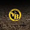 BSCYB Video Analysis Positive Reviews, comments