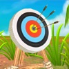 Archery Bow Challenges - iPadアプリ