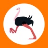 Ostrich Toolkit icon