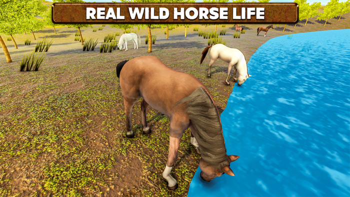 Wild Horse Life Simulator