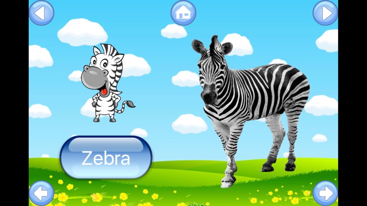 Zoo Animals Sound Flash Cards screenshot-4