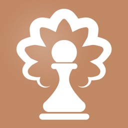Chess Openings Wizard by Bookup Corp.