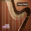 Harp Real - iPhoneアプリ