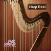 Harp Real - Son Truong Ngoc
