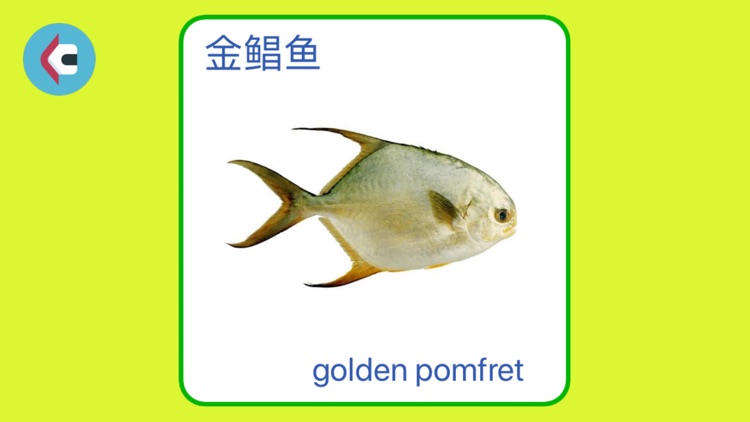 Kids' Encyclopedia-flashcards screenshot-4