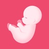 PregTracker: Pregnancy App icon