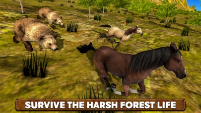 Wild Horse Life Simulator Screenshot