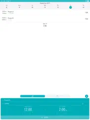 timesheet - time tracker ipad capturas de pantalla 2