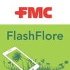 FlashFlore icon