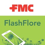 Download FlashFlore app