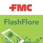 FlashFlore App Contact