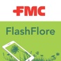 FlashFlore app download