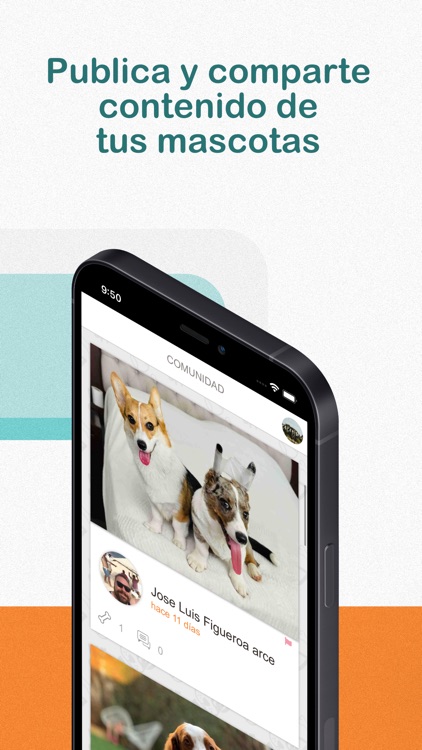 MrDogApp screenshot-3