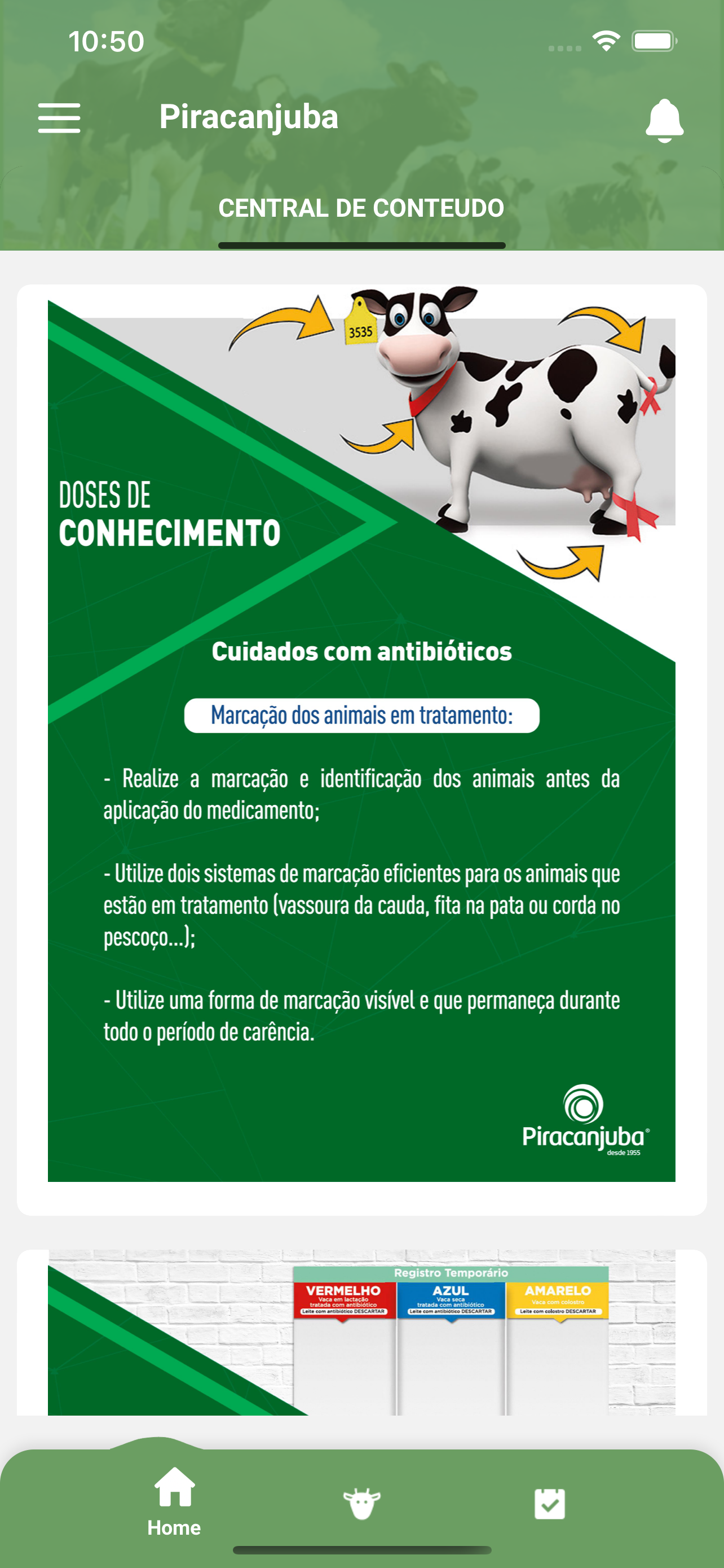 ProCampo