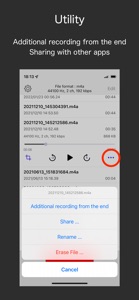 Audio Recorder - WAV, M4A screenshot #4 for iPhone