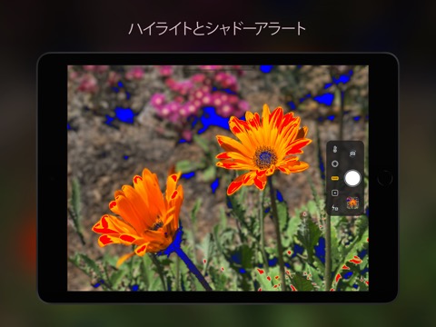 Camera M - プロマニュアルカメラのおすすめ画像7