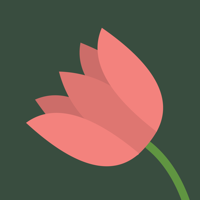Convoke-L Study App