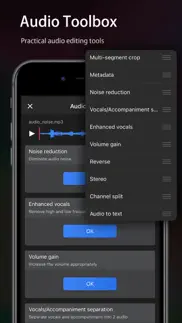 audio editor - music editor iphone screenshot 4