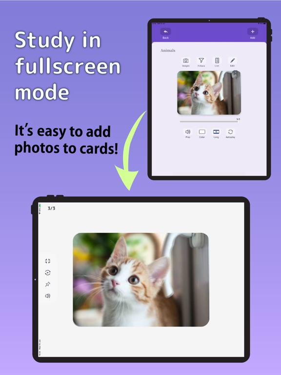 Screenshot #5 pour Flashcards Maker