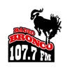 Radio Bronco 107.7 icon