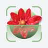 Plant ID - Flower Identifier - RAIT FORM, PP