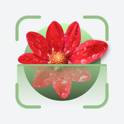 Plant ID - Flower Identifier Cheats