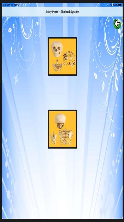 Body Parts Skeletal & Internal screenshot-4