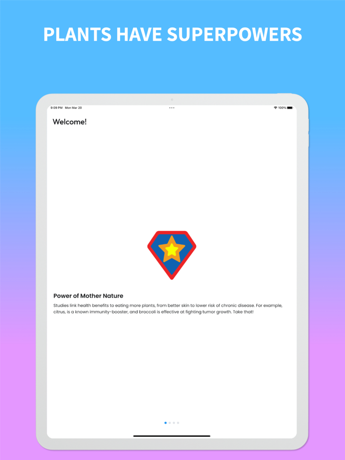 Rainbow Diet Food Journal