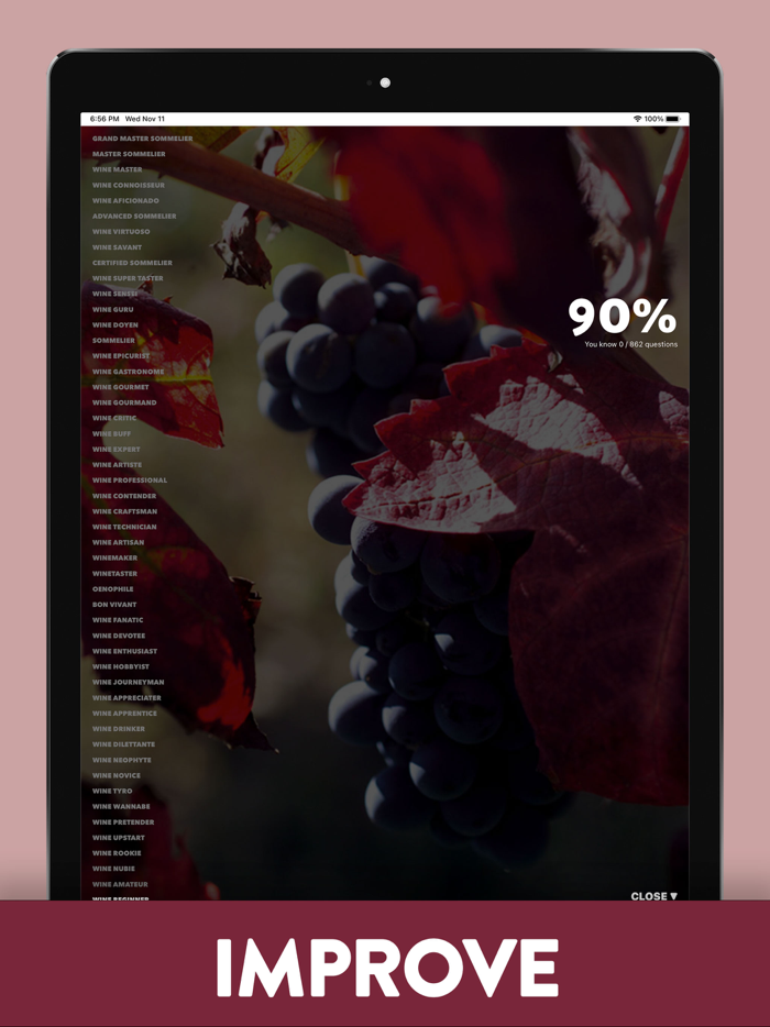 Decanter Know Your Wine