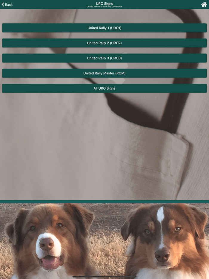 UKC Rally Dog Obedience