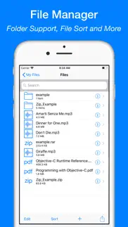 ifiles - file manager explorer iphone screenshot 2